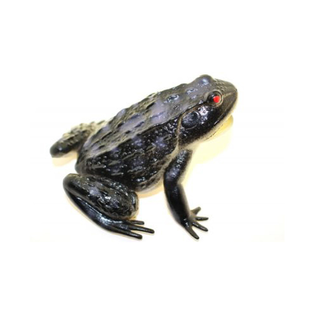 Black Frog Rubber Replica 4