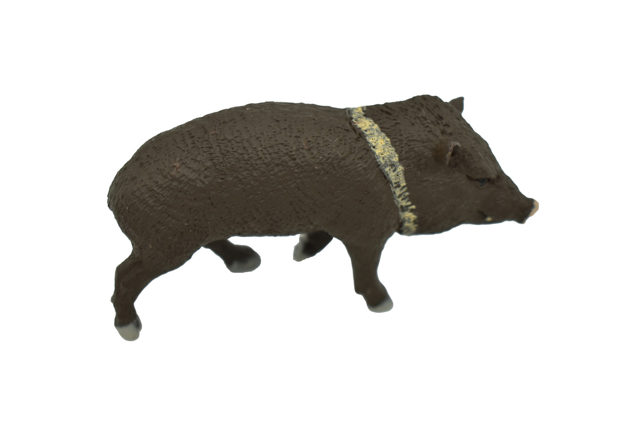 Peccary Very Nice Plastic Replica 3.5