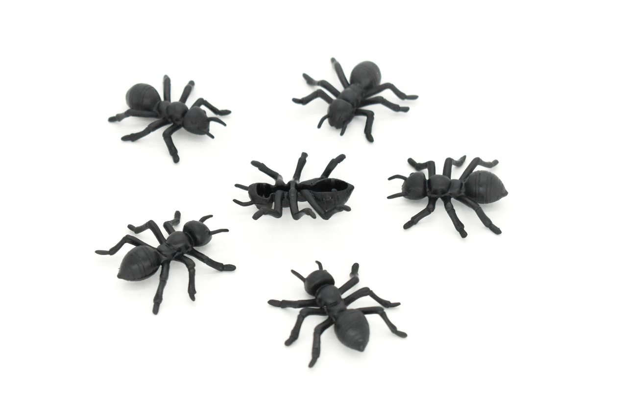 Ants , Pack of 6 Black Ants Very Nice Plastic Reproduction    1 1/2"    F6091 B381