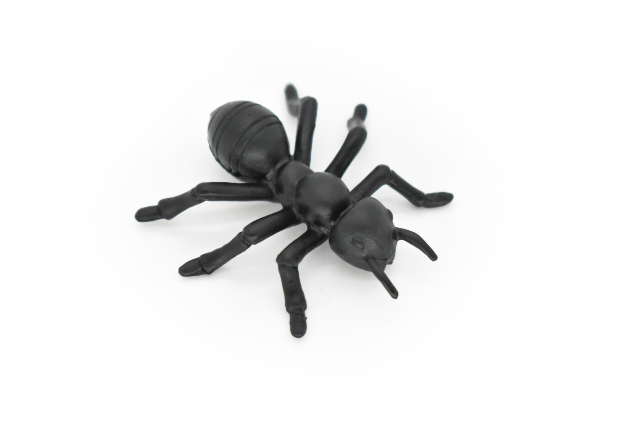 Ants , Pack of 6 Black Ants Very Nice Plastic Reproduction    1 1/2"    F6091 B381