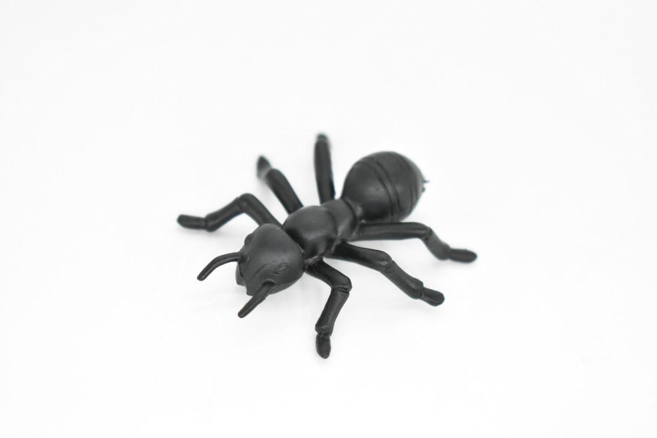 Ants , Pack of 6 Black Ants Very Nice Plastic Reproduction    1 1/2"    F6091 B381