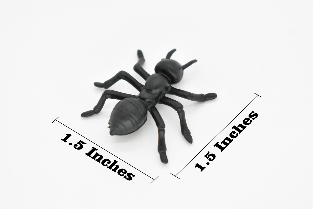 Ants , Pack of 6 Black Ants Very Nice Plastic Reproduction    1 1/2"    F6091 B381