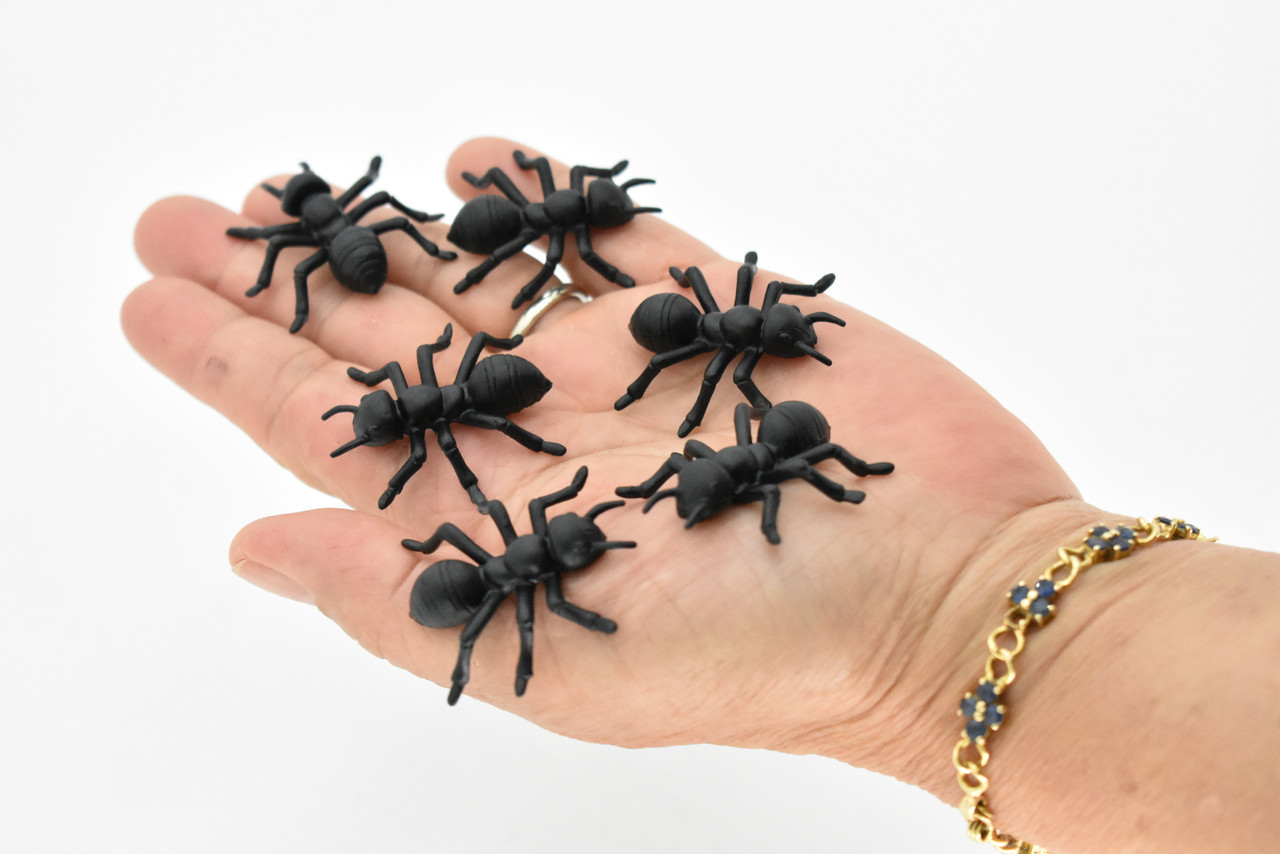 Ants , Pack of 6 Black Ants Very Nice Plastic Reproduction    1 1/2"    F6091 B381