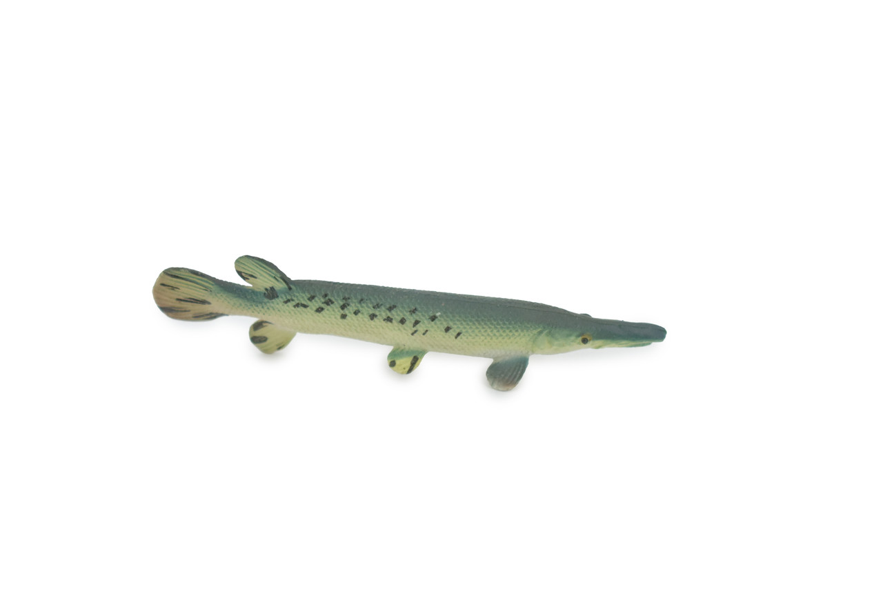 Fish, Alligator Gar, Freshwater, High Quality, Rubber Fish, Hand Painted, Realistic, Figure, Model, Replica, Toy, Kids, Educational, Gift,      3 1/2"       F3446 B88