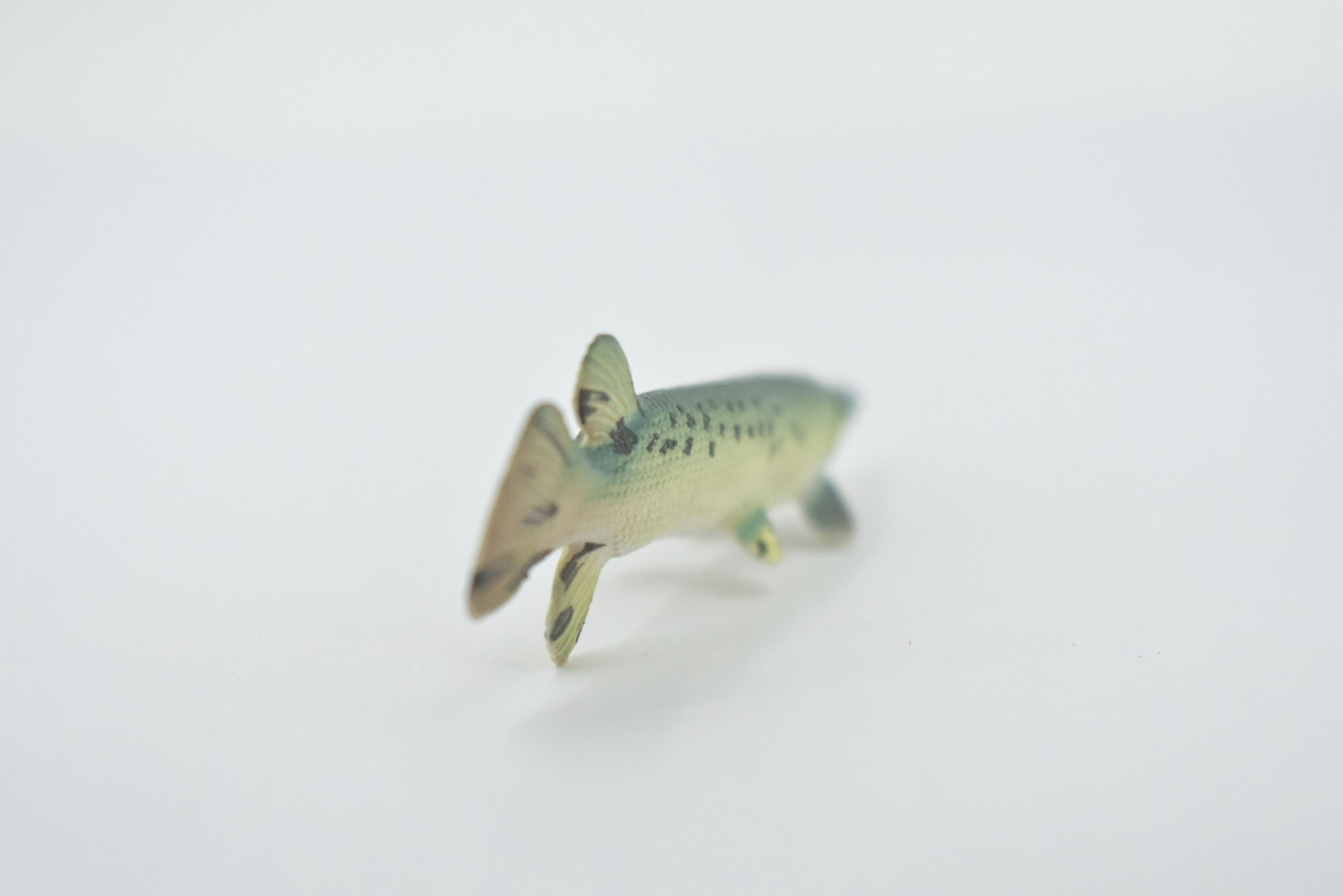 Fish, Alligator Gar, Freshwater, High Quality, Rubber Fish, Hand Painted,  Realistic, Figure, Model, Replica, Toy, Kids