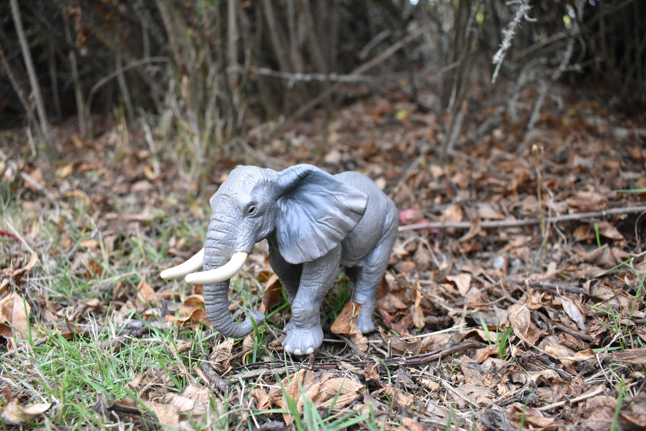 Elephant, African, Museum Quality, Plastic Toy Animal, Kids Gift, Realistic Figure, Educational Model, Replica,        7"      F8006 B3