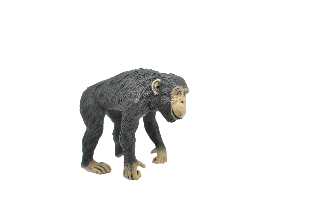 Chimpanzee, Female, Monkey, Primate, Educational, Realistic Hand Painted, Figure, Lifelike Model, Figurine, Vintage Replica, Toy,  2 1/4 Inches. 