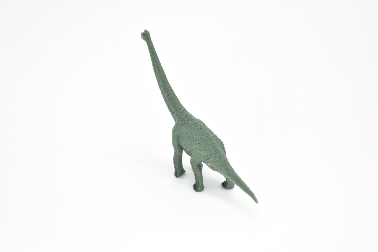 Brachiosaurus Dinosaur, Museum Quality, Animal, Educational, Realistic Hand Painted, Figure, Lifelike Model, Vintage Replica, Toy, Gift,    4 Inches.    F8100 B117
