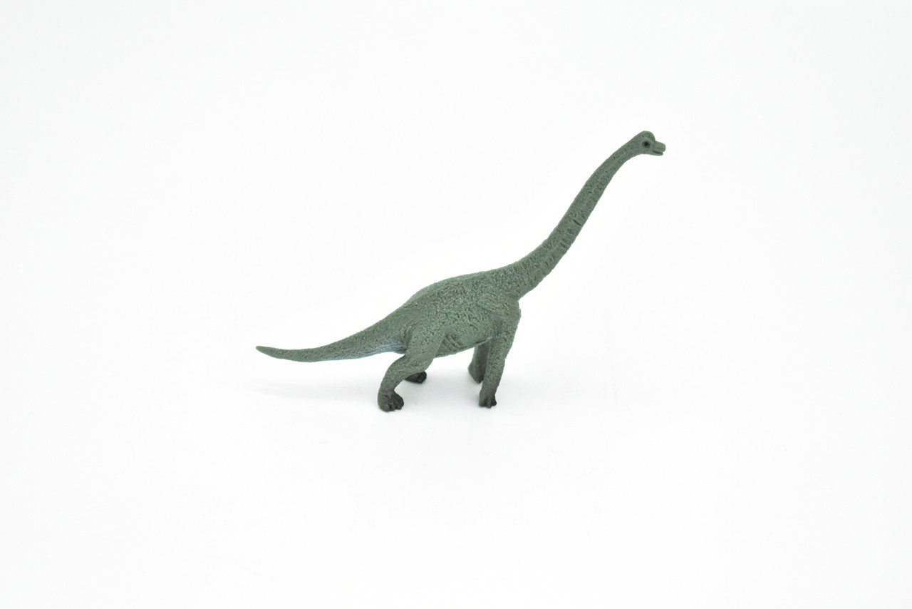 Brachiosaurus Dinosaur, Museum Quality, Animal, Educational, Realistic Hand Painted, Figure, Lifelike Model, Vintage Replica, Toy, Gift,    4 Inches.    F8100 B117