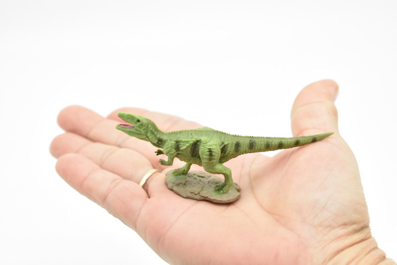 Gigantosaurus Dinosaur, Museum Quality, Animal, Educational, Realistic Hand Painted, Figure, Lifelike Model, Vintage Replica, Toy,  4 Inches.