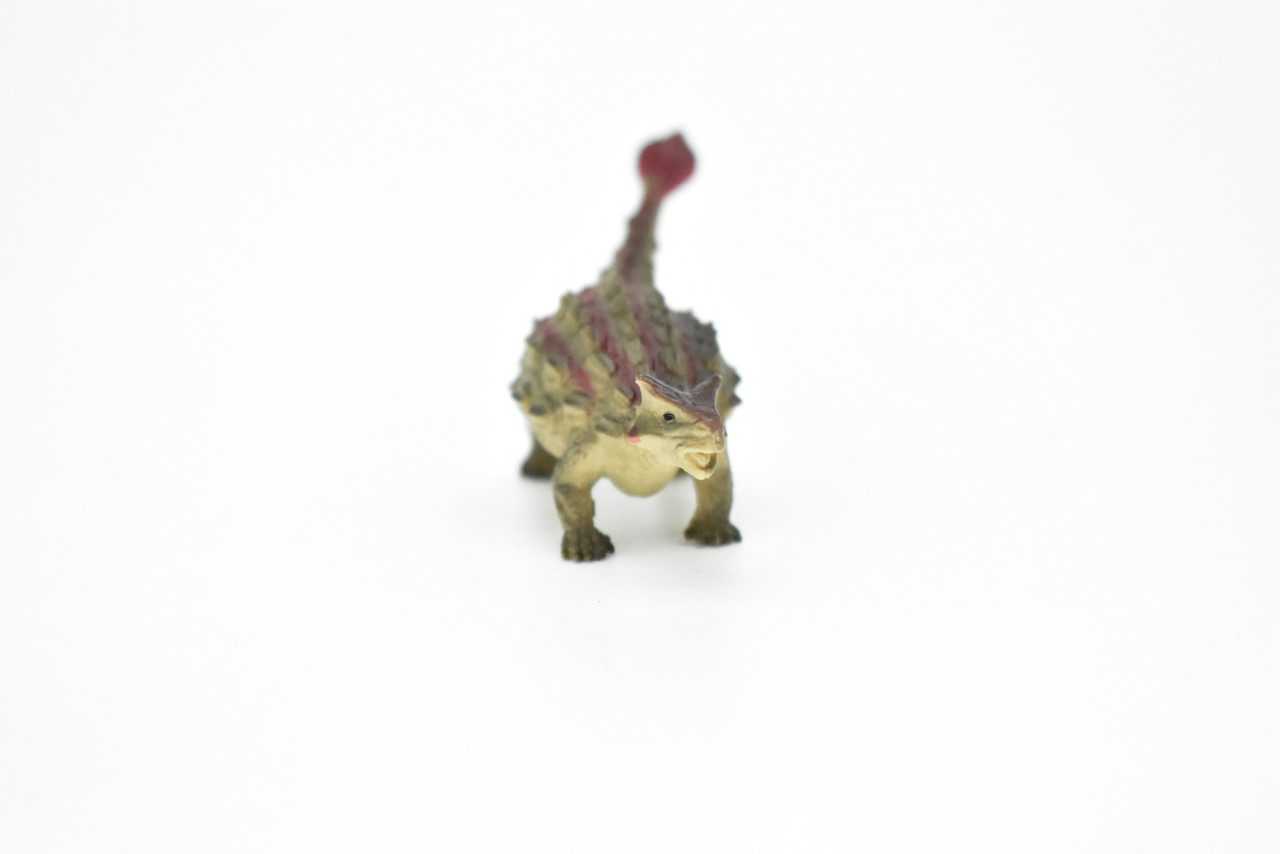 Ankylosaurus Dinosaur, Museum Quality, Animal, Educational, Realistic Hand Painted, Figure, Lifelike Model, Vintage Replica, Toy, Gift,    3 Inches.  F8105 B117