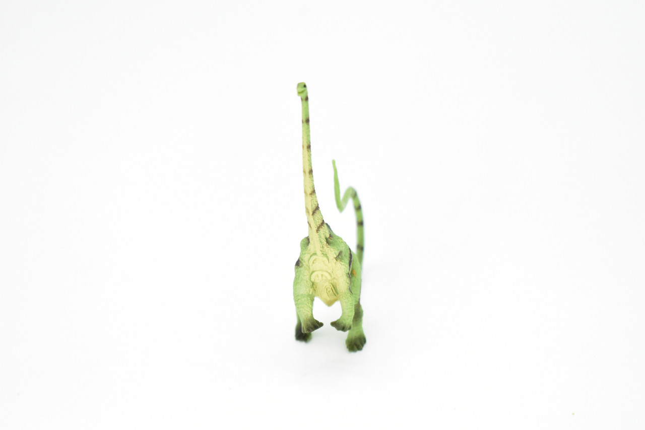 Diplodocus Dinosaur, Museum Quality, Animal, Educational, Realistic Hand Painted, Figure, Lifelike Model, Vintage Replica, Toy, Gift,    3 1/2 Inches.    F8113 B117