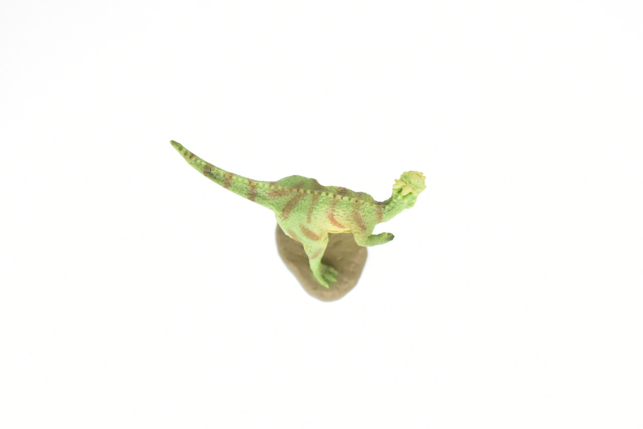 Pachycephalosaurus Dinosaur, Very Nice Plastic Replica   2"    F8120-B117