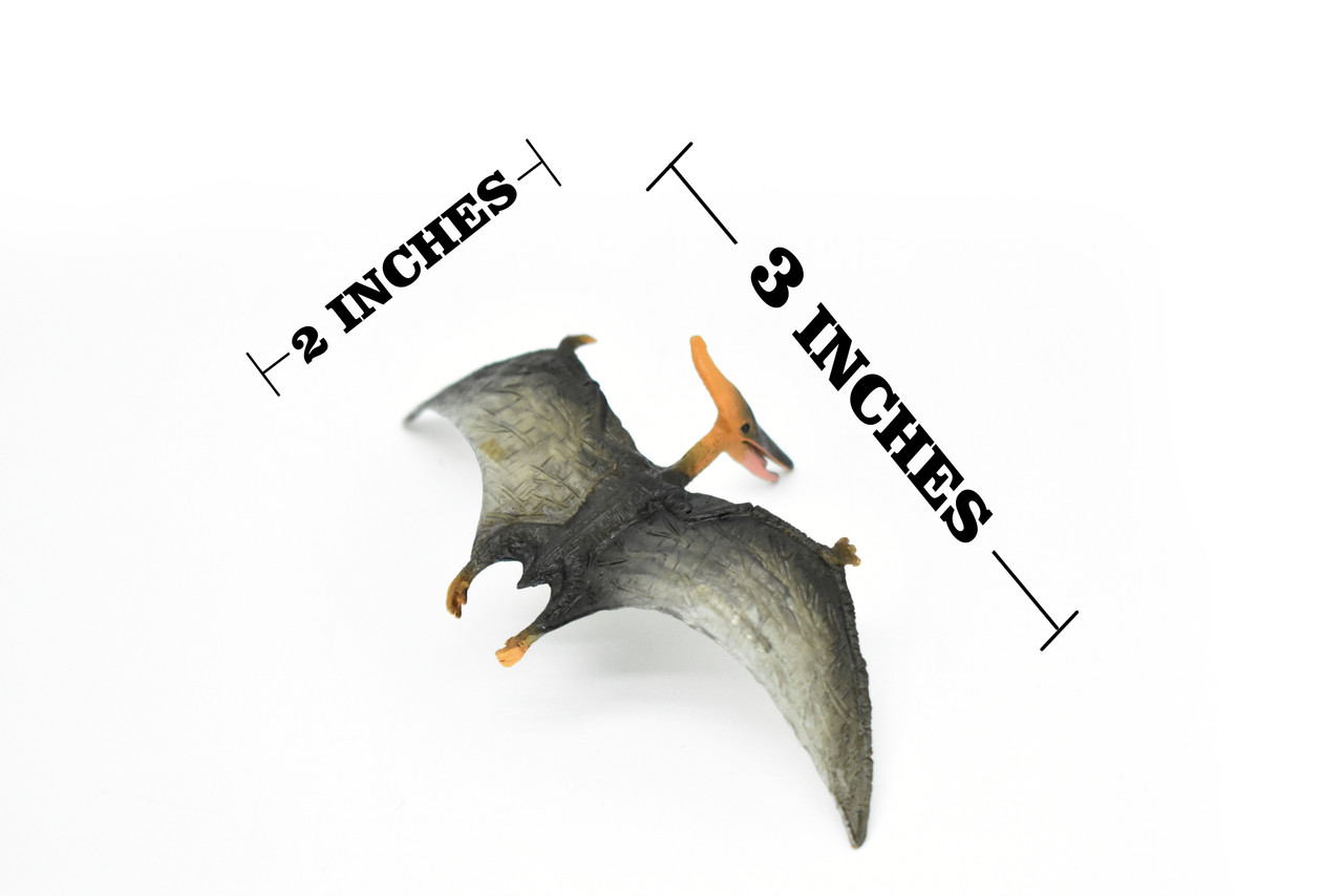 Pteranodon Dinosaur, Museum Quality, Animal, Educational, Realistic Hand Painted, Figure, Lifelike Model, Vintage Replica, Toy,  3 Inches. 