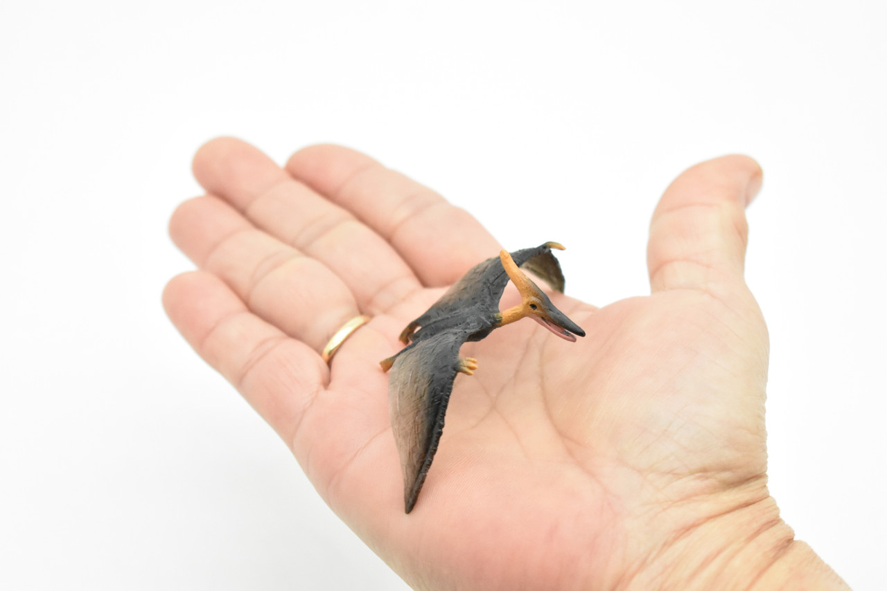 Pteranodon Dinosaur, Museum Quality, Animal, Educational, Realistic Hand Painted, Figure, Lifelike Model, Vintage Replica, Toy,  3 Inches. 