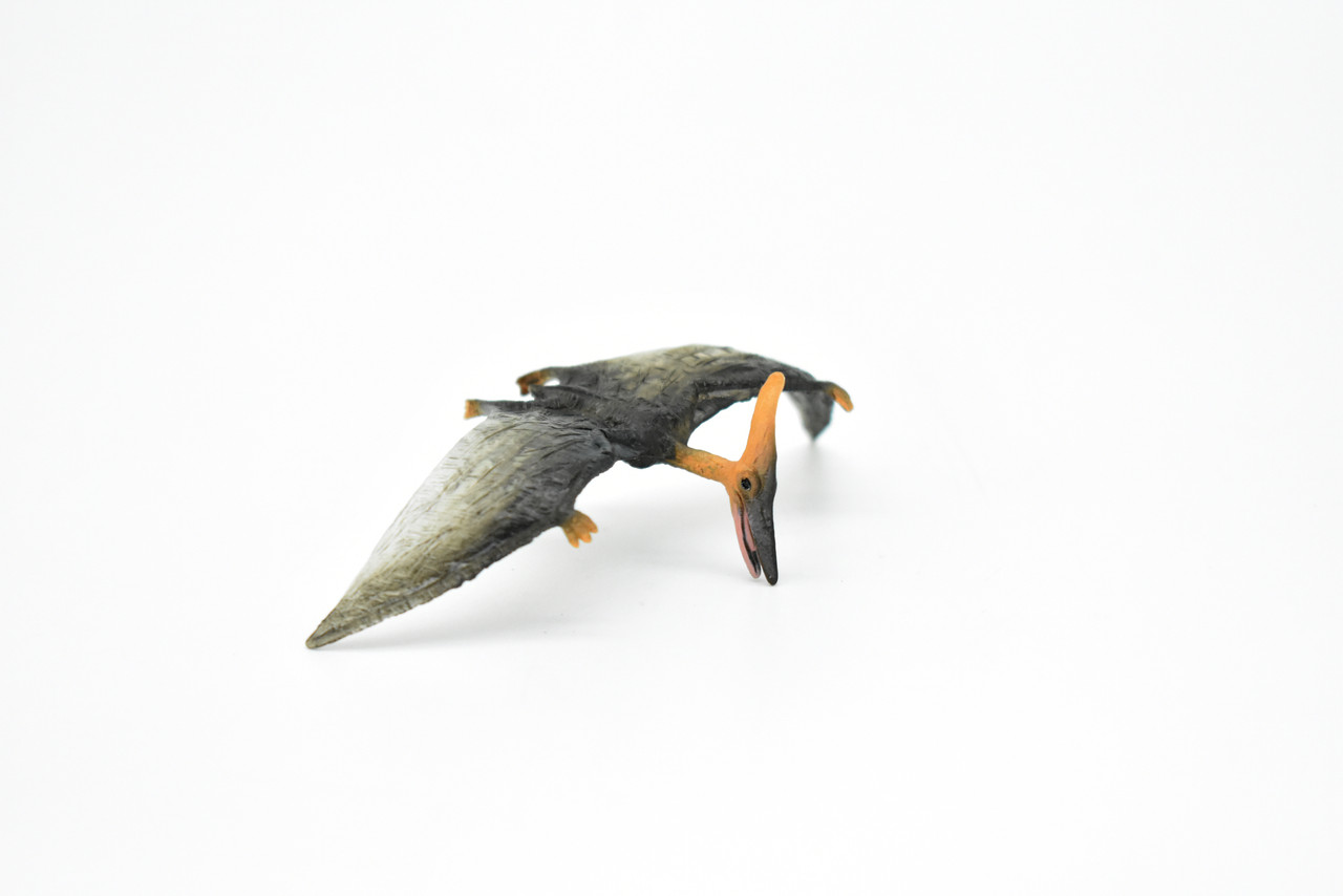Pteranodon Dinosaur, Museum Quality, Animal, Educational, Realistic Hand Painted, Figure, Lifelike Model, Vintage Replica, Toy, Gift,    3 Inches.    F8121 B117