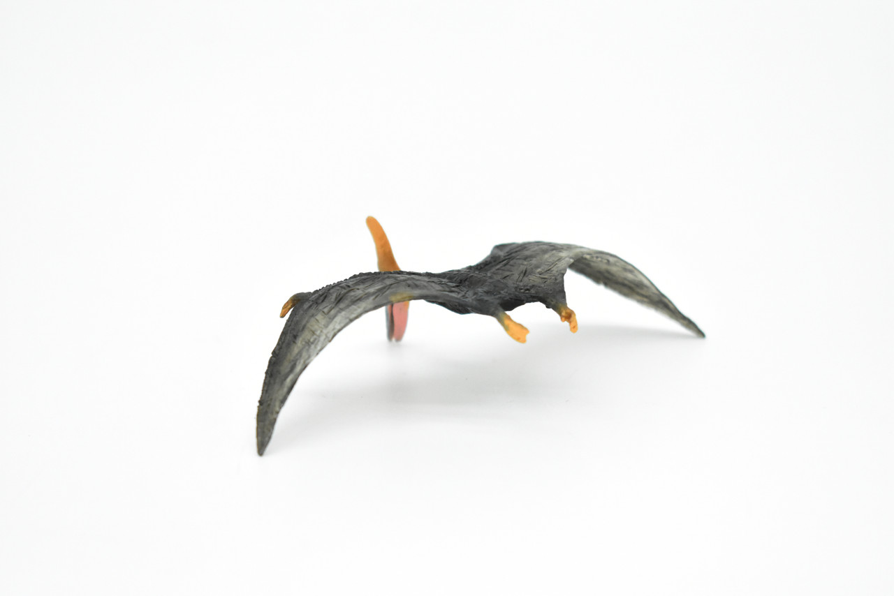 Pteranodon Dinosaur, Museum Quality, Animal, Educational, Realistic Hand Painted, Figure, Lifelike Model, Vintage Replica, Toy, Gift,    3 Inches.    F8121 B117