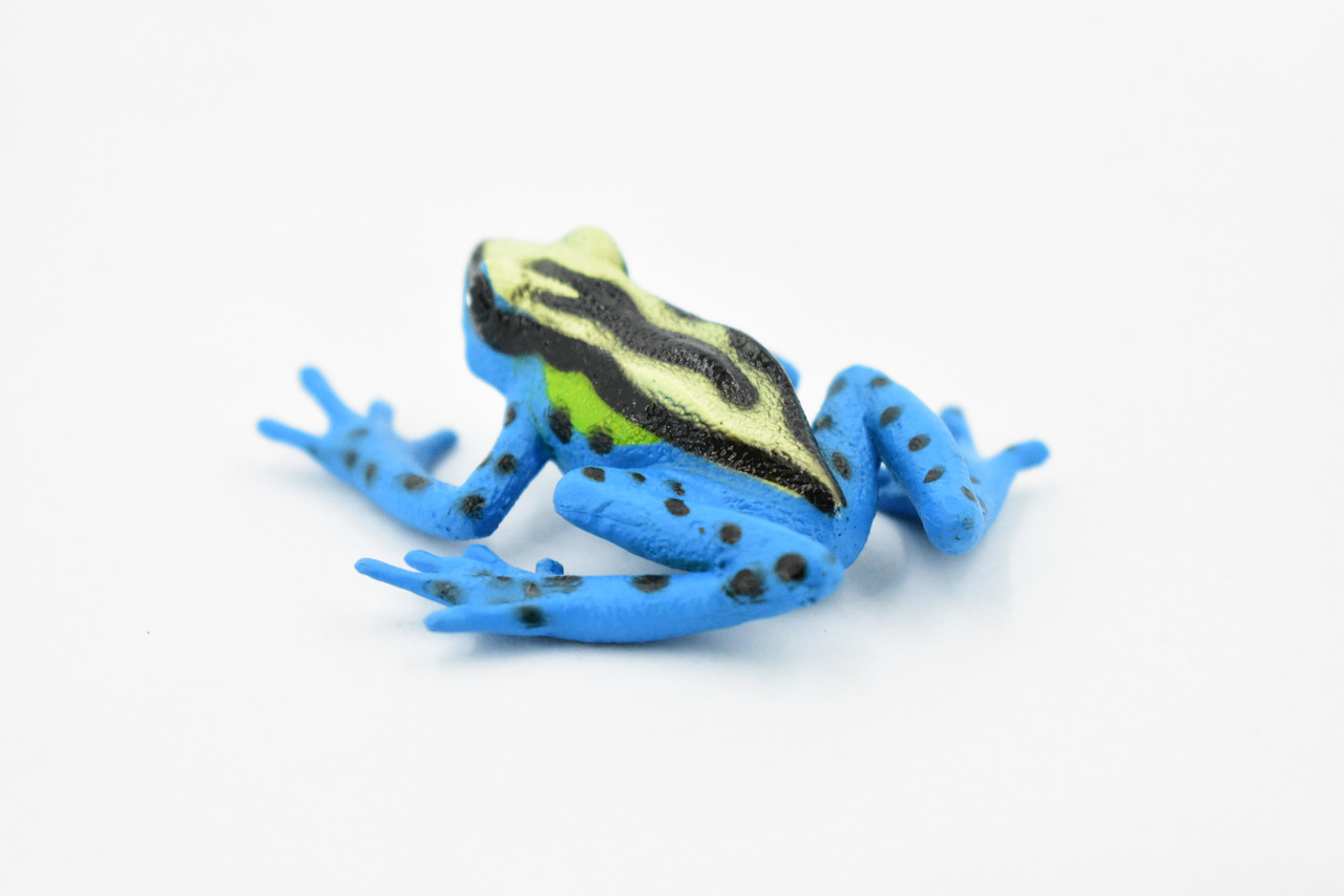Blue and Yellow Brazilian Dyeing Poison Dart Frog, Hand Painted, Amphibian, Hard Rubber, Realistic Frog, Toy, Kids, Educational, Gift,     2 1/2" 