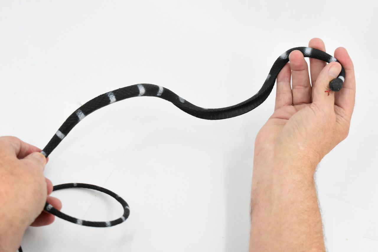 Snake, Black and White, Coiled, Rubber Reptile, Educational, Realistic Hand Painted, Figure, Lifelike Model, Figurine, Replica, Gift,     36"        F3583 B355