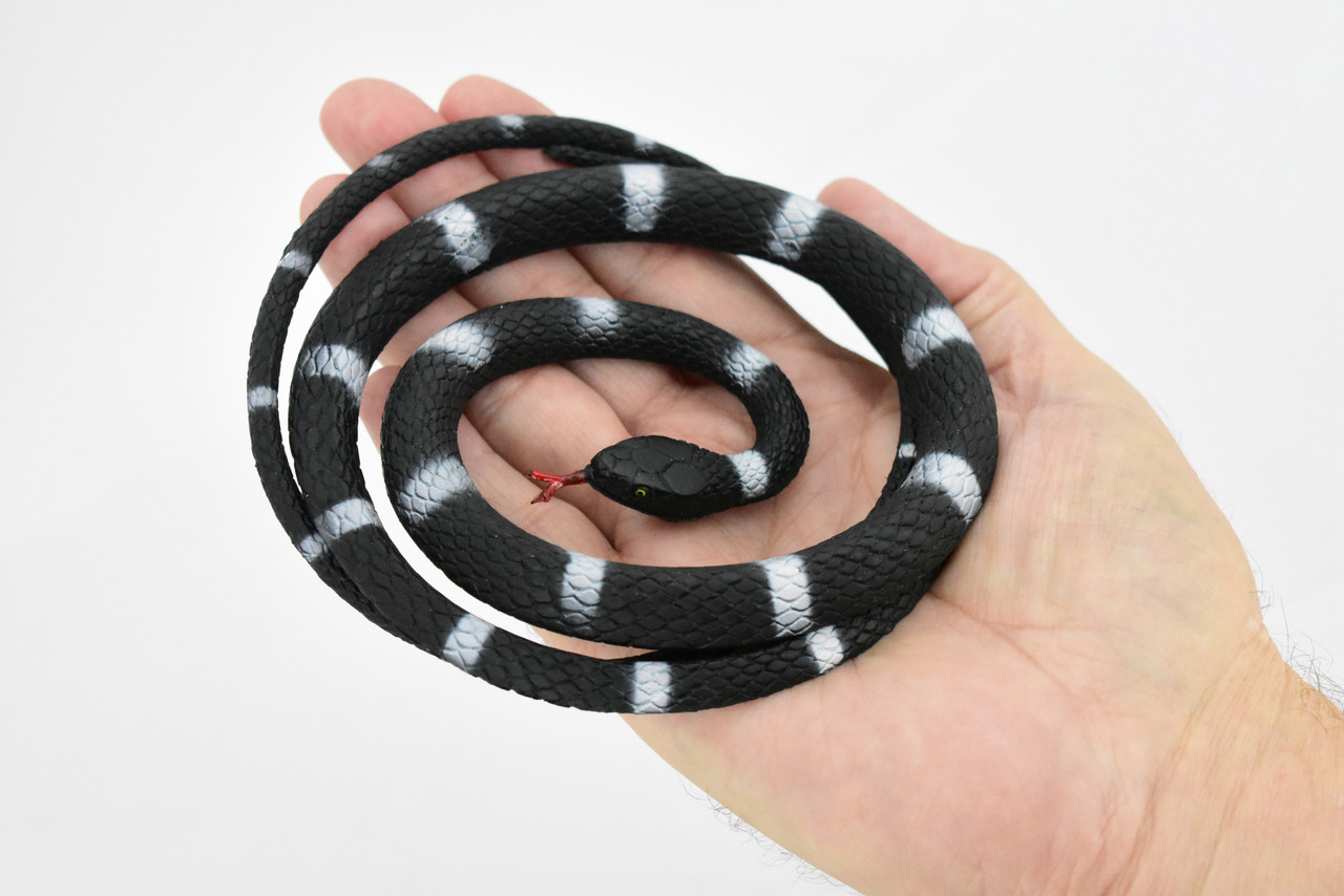 Model, Coiled, Lifelike Reptile, and Figure, Educational, Black White, Realistic Replica, Snake, Hand Rubber Painted, Figurine,