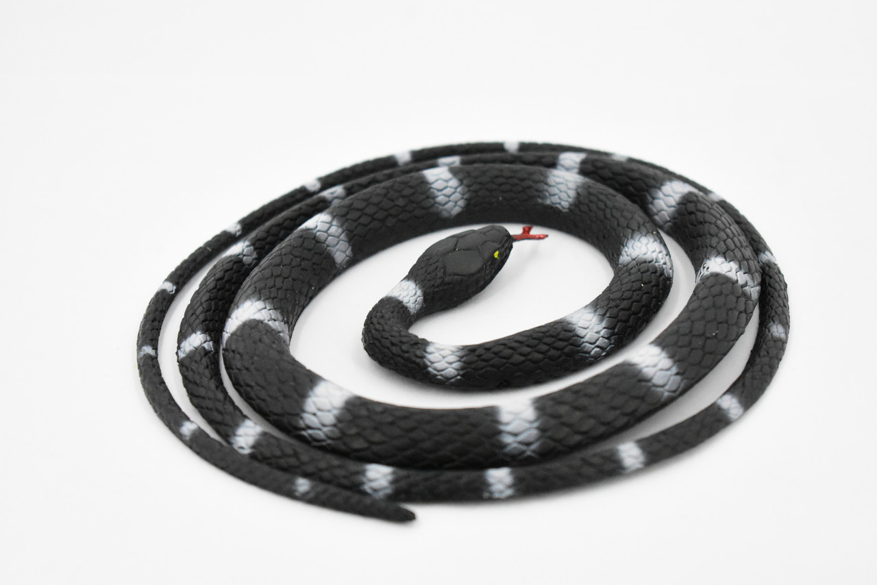 Snake, Black and White, Coiled, Rubber Reptile, Educational, Realistic Hand  Painted, Figure, Lifelike Model, Figurine, Replica,