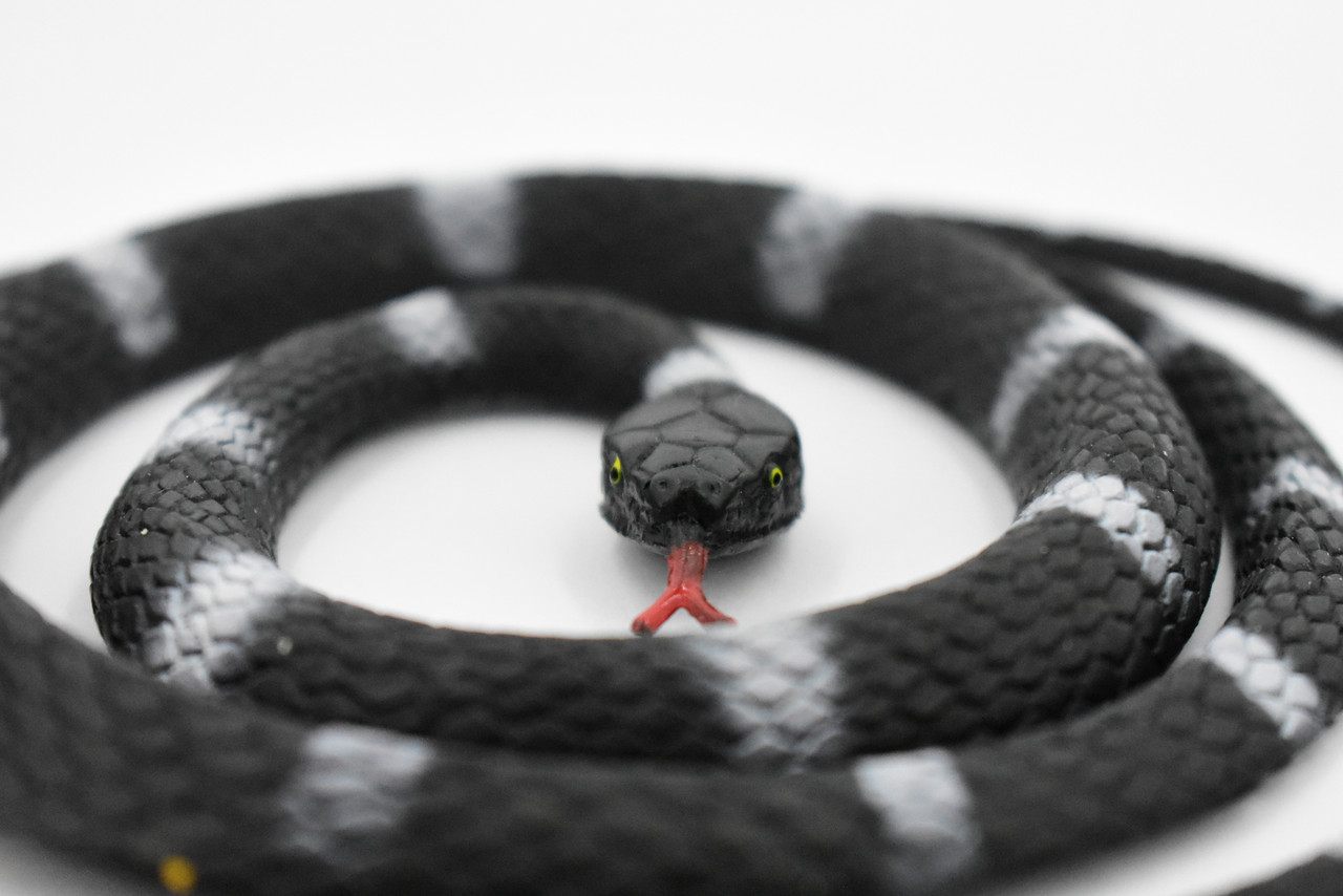 Snake, Black and White, Coiled, Rubber Reptile, Educational, Realistic Hand Painted, Figure, Lifelike Model, Figurine, Replica, Gift,     36"        F3583 B355