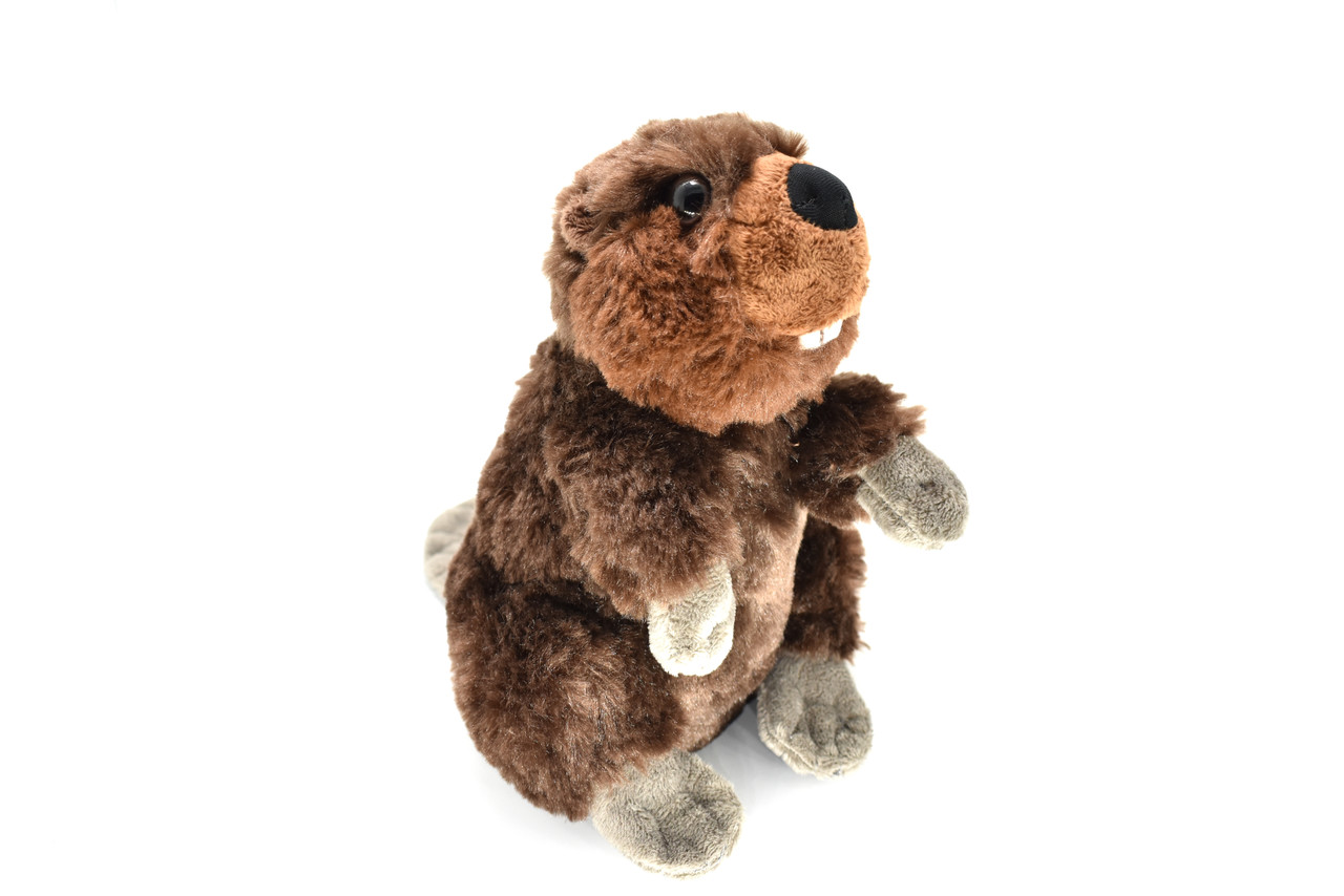 Beaver, Very Nice Plush, Stuffed Animal, Educational, Toy, Kids, Realistic Figure, Lifelike Model, Replica, Gift,    12"    F901 B234 