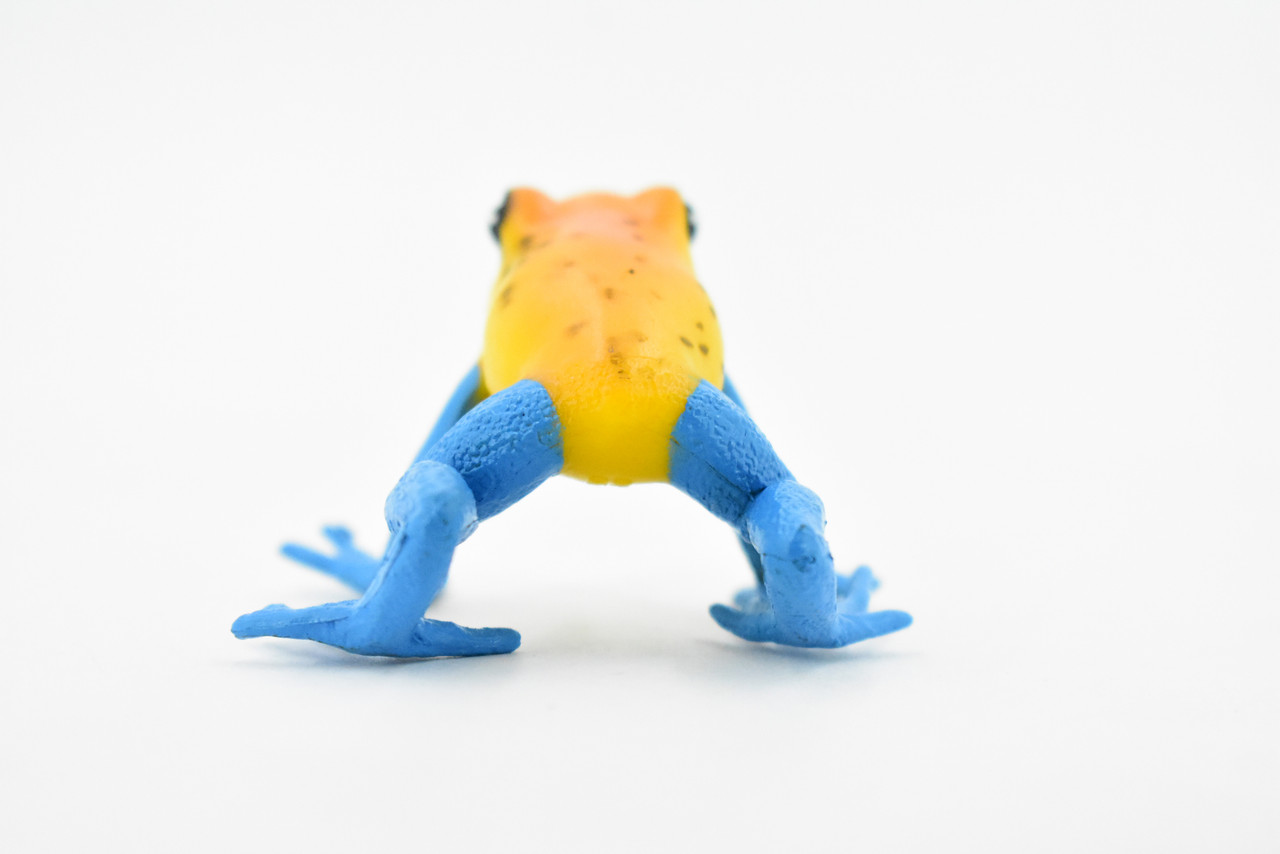 Tropical Rain Forest Frogs, Part 1 (Real Figure Collection Box by Colorata)  – Animal Toy Blog