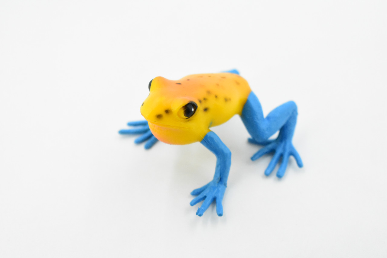 Frog, Green and Black Poison Dart Frog, Plastic Toy, Realistic, Rainforest,  Figure, Model, Replica, Kids, Educational, Gift, 2 F4092 B54