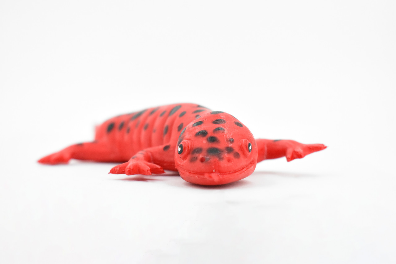 Salamander, Red Salamander, Rubber Amphibian, Educational, Realistic, Hand Painted, Figure, Lifelike Model, Figurine, Replica, Gift,      10"     F1724 B1