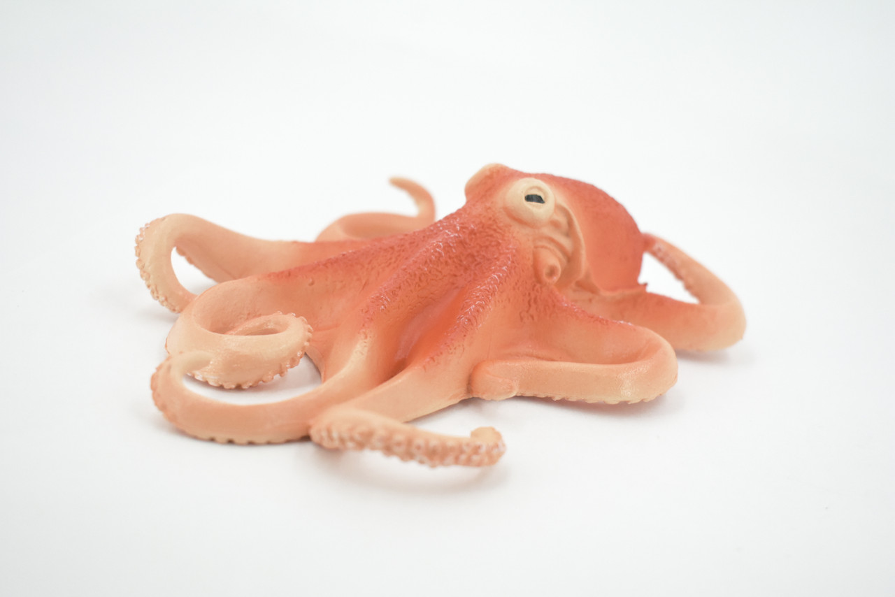 Octopus, Octopuses, Museum Quality, Rubber, Octopodes, Educational, Realistic Hand Painted, Figure, Lifelike Figurine, Replica, Gift,    6"     M040 B637