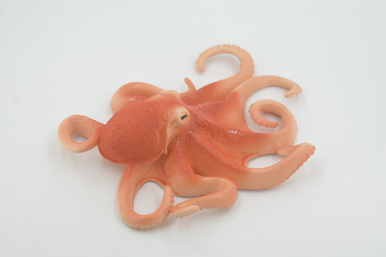 Octopus, Octopuses, Museum Quality, Rubber, Octopodes, Educational, Realistic Hand Painted, Figure, Lifelike Figurine, Replica, Gift,    6"     M040 B637