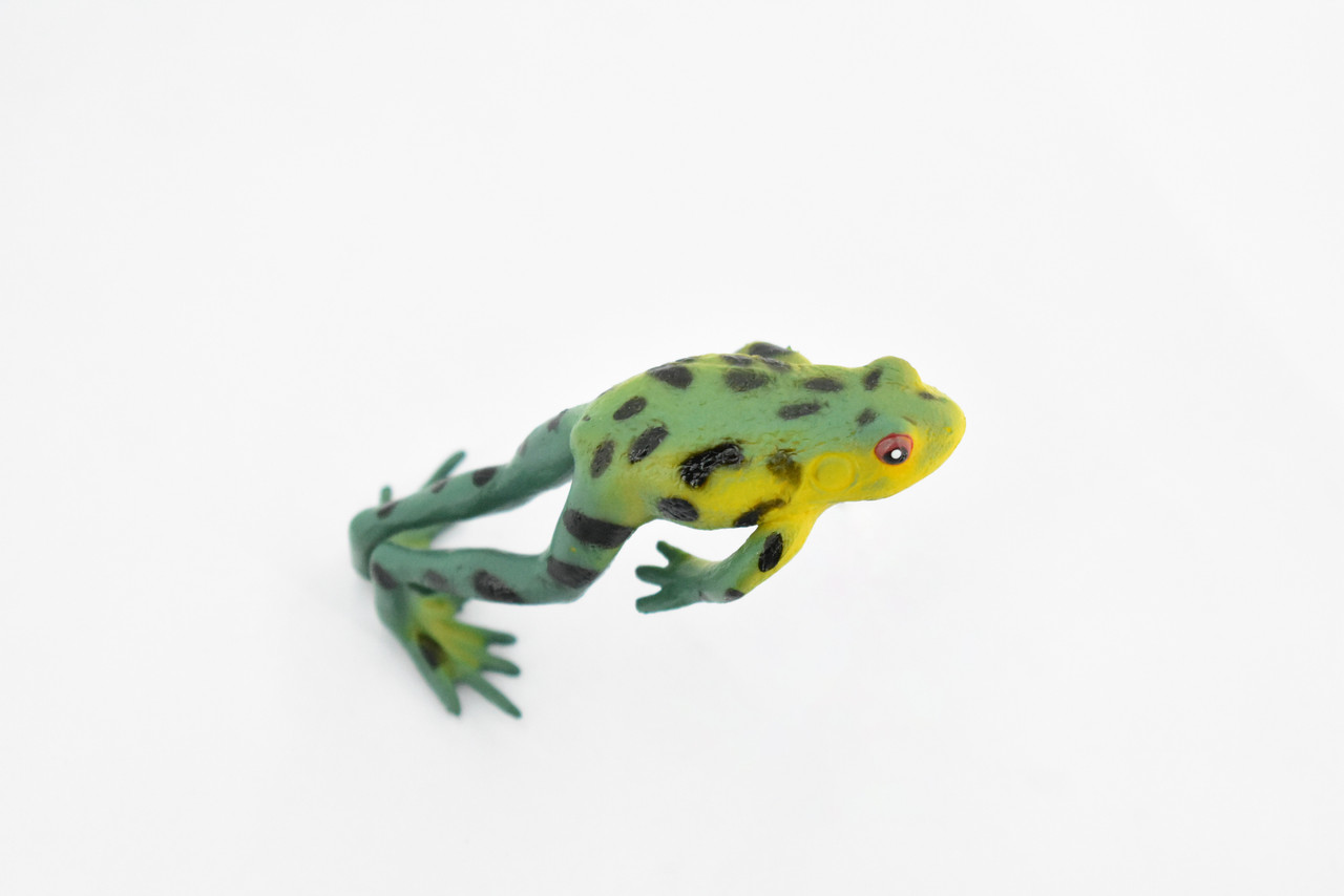 American Tree Frog Green and Yellow Plastic Toy Realistic Rainforest Figure Model Replica Kids Educational Gift  3.5" F4402 B9