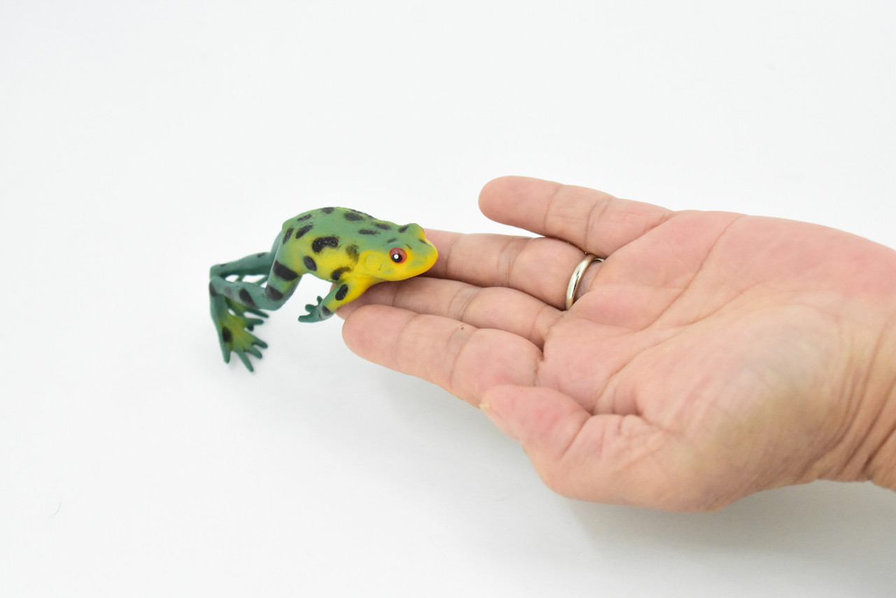 American Tree Frog Green and Yellow Plastic Toy Realistic Rainforest Figure Model Replica Kids Educational Gift  3.5" F4402 B9