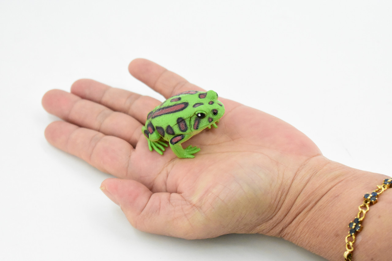 Frog, Green Tree Frog, Plastic Toy, Realistic, Figure, Model, Replica,  Kids, Educational, Gift, 2 1/4 F4401 B9