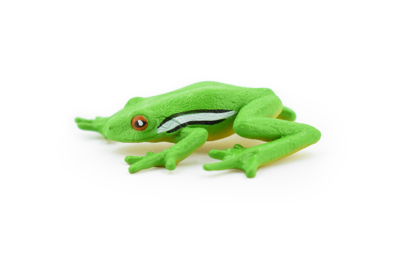 Green Tree Frog, Hand Painted, Amphibian, Hard Rubber, Realistic Frog, Figure, Model, Replica, Toy, Kids, Educational, Gift,       2 1/4"  