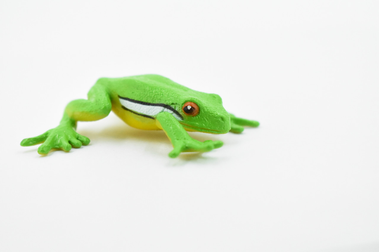Green Tree Frog, Hand Painted, Amphibian, Hard Rubber, Realistic Frog, Figure, Model, Replica, Toy, Kids, Educational, Gift,       2 1/4"  