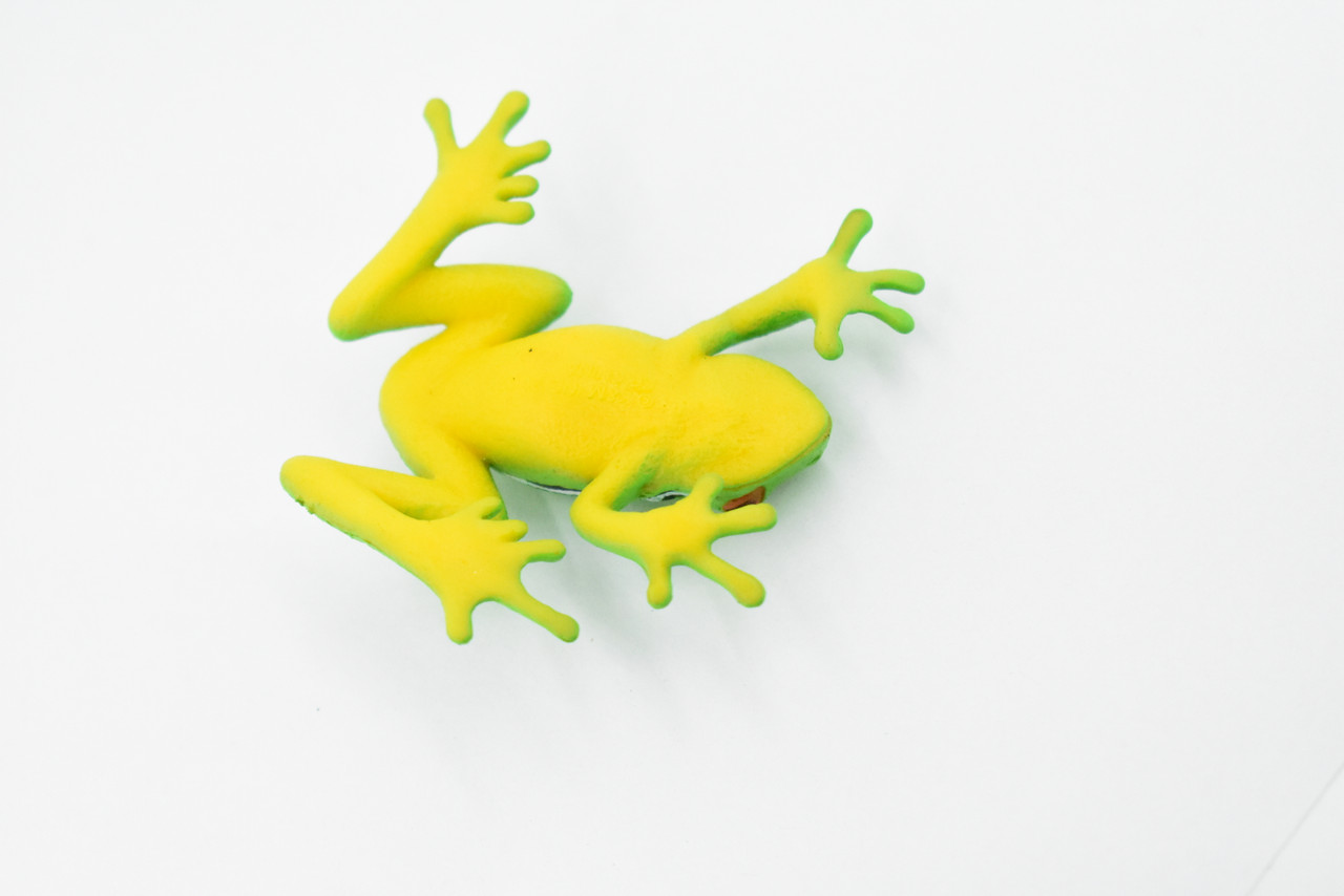 Frog, Green Tree Frog, Plastic Toy, Realistic, Figure, Model, Replica,  Kids, Educational, Gift, 2 1/4 F4401 B9