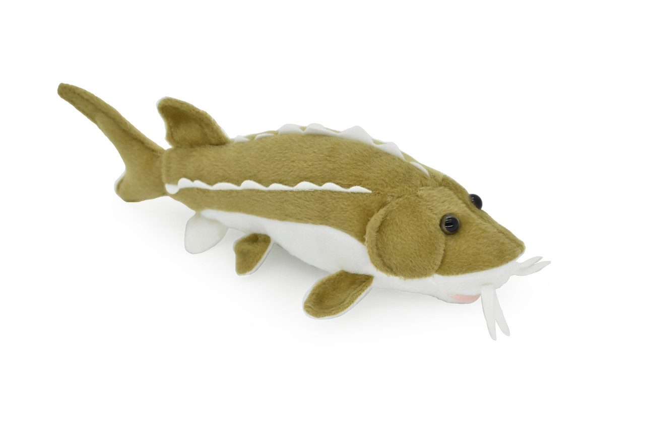 plush sturgeon