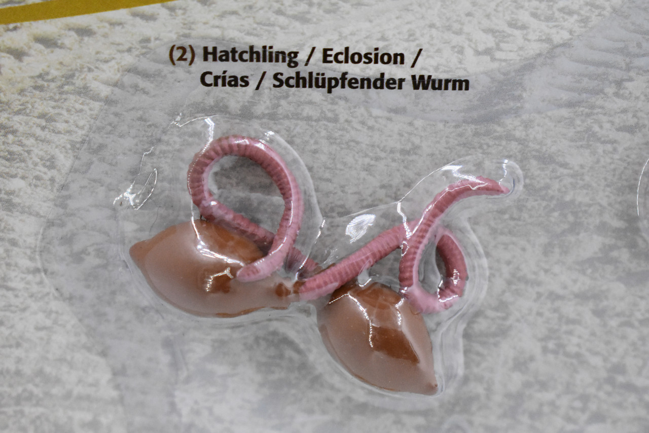 Worm, Life Cycle,  4 Piece Set, Plastic Toy, Kids Gift, Realistic Figure, Educational Model, Replica, Gift,       3"     F4063-B319