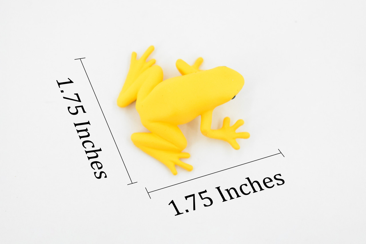 Frog, Golden Poison Dart Frog, Plastic Toy, Realistic, Rainforest, Figure, Model, Replica, Kids, Educational, Gift,      1 3/4"    F4083 B54