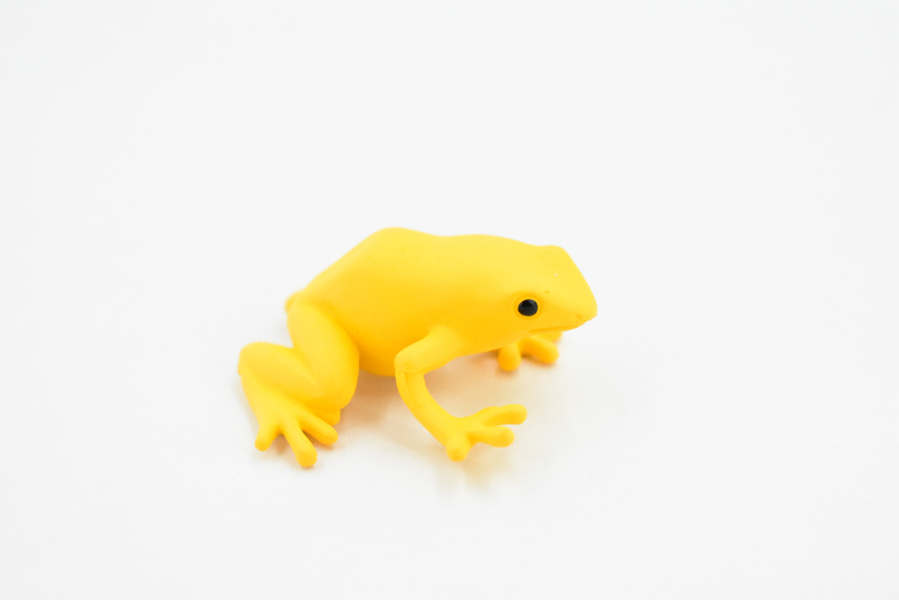 Frog, Golden Poison Dart Frog, Plastic Toy, Realistic, Rainforest, Figure, Model, Replica, Kids, Educational, Gift,      1 3/4"    F4083 B54