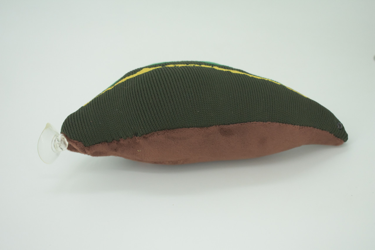 Leech, Hirudinea, Segmented worms, Plush Design, Educational, Figure, Replica, Gift,    8 inches long.  F1600 B606