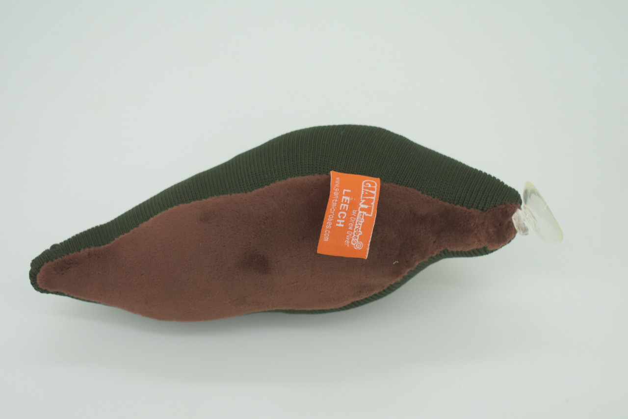 Leech, Hirudinea, Segmented worms, Plush Design, Educational, Figure, Replica, Gift,    8 inches long.  F1600 B606