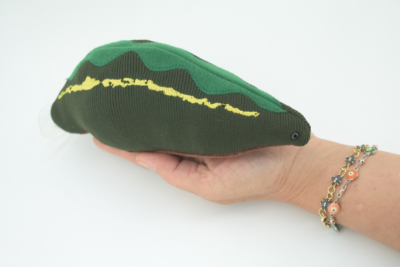 Leech, Hirudinea, Segmented worms, Plush Design, Educational, Figure, Replica, Gift,    8 inches long.  F1600 B606