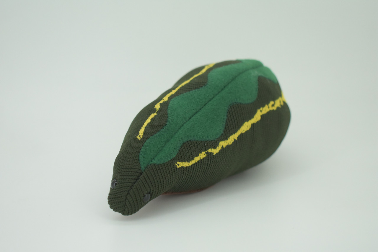 Leech, Hirudinea, Segmented worms, Plush Design, Educational, Figure, Replica, Gift,    8 inches long.  F1600 B606