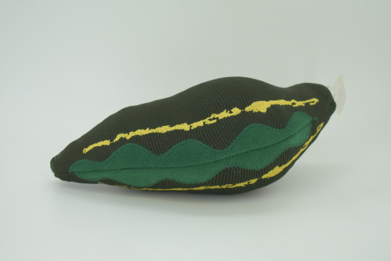 Leech, Hirudinea, Segmented worms, Plush Design, Educational, Figure, Replica, Gift,    8 inches long.  F1600 B606