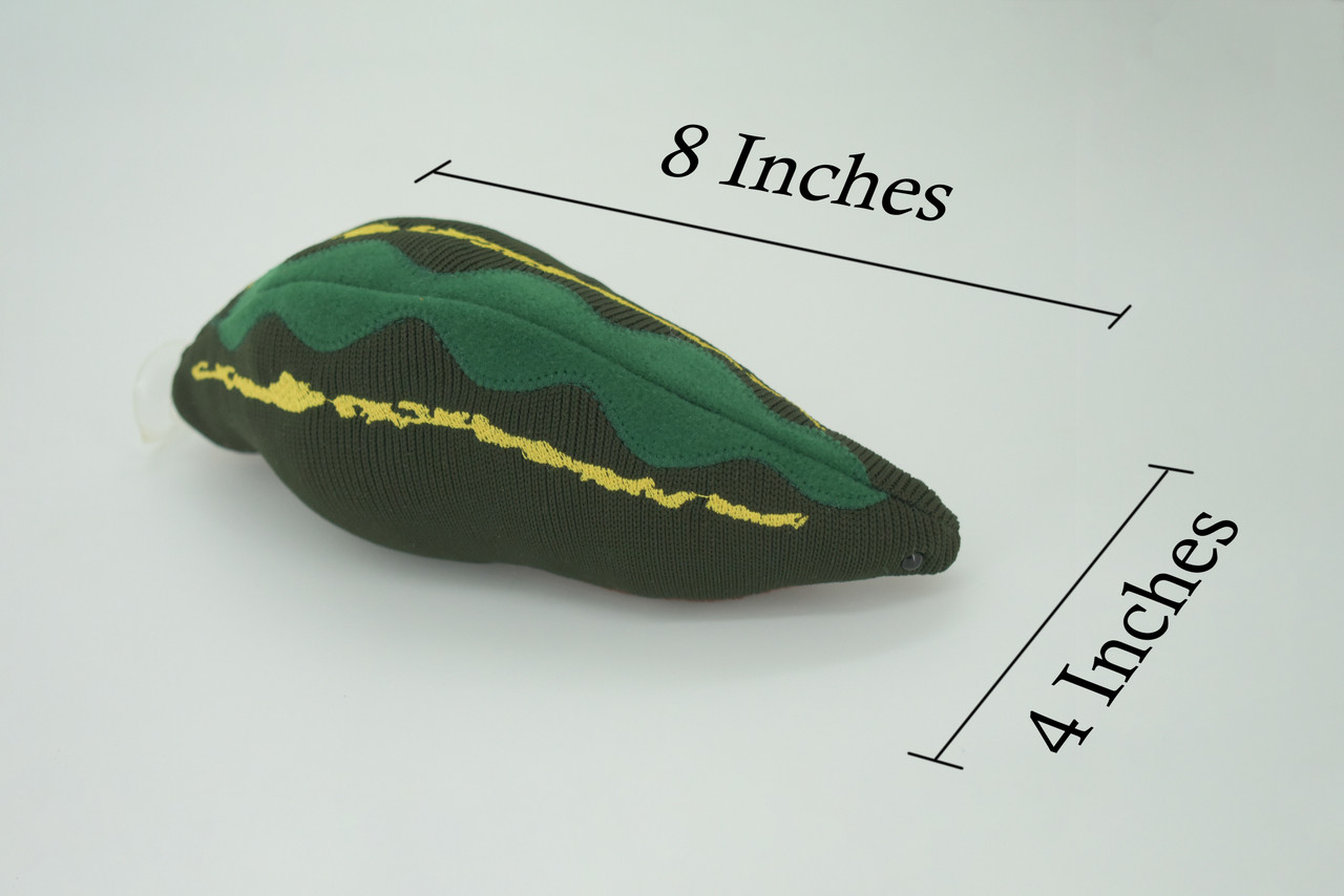 Leech, Hirudinea, Segmented worms, Plush Design, Educational, Figure, Replica, Gift,    8 inches long.  F1600 B606