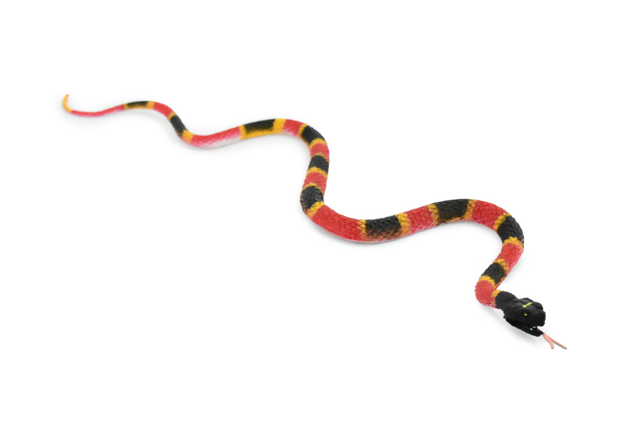 Snake, Coral Snake, Rubber Reptile, Educational, Realistic, Hand Painted, Figure, Lifelike Model, Figurine, Replica, Gift,    10"    F1730 B222