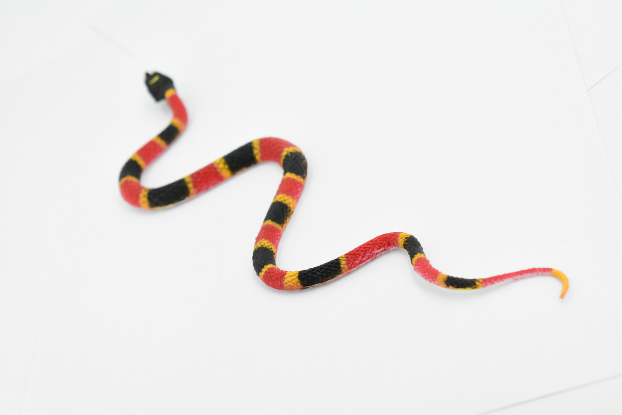 Snake, Coral Snake, Rubber Reptile, Educational, Realistic, Hand Painted, Figure, Lifelike Model, Figurine, Replica, Gift,    10"    F1730 B222